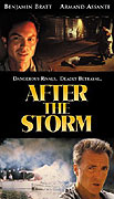 Po bouři (2001)