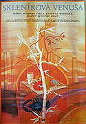 Skleníková Venuša (1985)