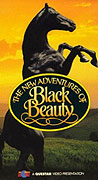 Nová dobrodružství Černého Bleska (1990)