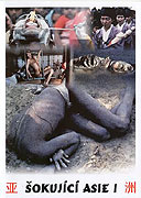 Šokující Asie 1 (1974)