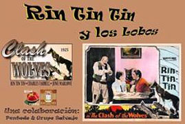 Clash of the Wolves (1925)