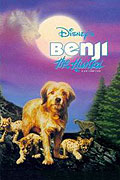 Hledá se Benji (1987)