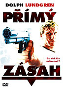 Přímý zásah (2004)