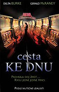 Cesta ke dnu (2003)