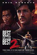 Karate tiger 6: Nejlepší z nejlepších 2 (1993)