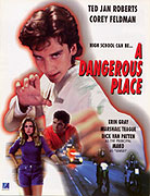 Dangerous Place, A (1995)