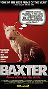 Baxter (1989)