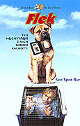 Flek (2001)
