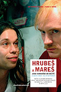 Hrubeš a Mareš jsou kamarádi do deště (2005)