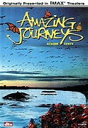 Úžasné cesty (1999)