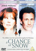 Možná bude sněžit (1998)