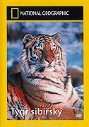 Tygr sibiřský (1997)