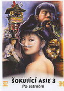 Šokující Asie 3: Po setmění (1995)