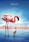 Crimson Wing: Mystery of the Flamingos, The (2008)