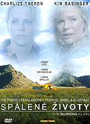 Planina v ohni (2008)