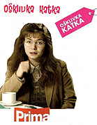 Ošklivka Katka (2008)