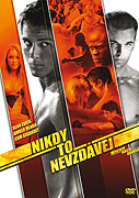 Nikdy to nevzdávej (2008)