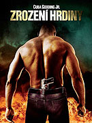 Hledá se hrdina (2008)