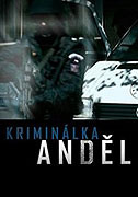 Kriminálka Anděl (2008)