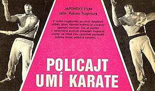 Policajt umí karate (1984)