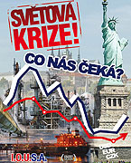 Světová krize: Co nás čeká? (2008)