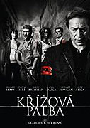Křížová palba (2008)