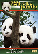 Příběh medvídka Pandy (2008)