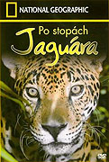 Po stopách jaguára (2003)