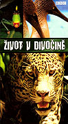 Život v divočině (2000)