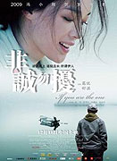 Fei Cheng Wu Rao (2008)