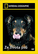Ze života psů (2007)