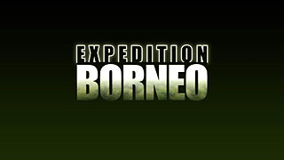 Expedice Borneo (2007)