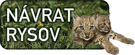 Návrat rysov (2010)