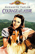 Odvážná Lassie (1946)