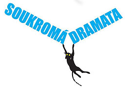 Soukromá dramata (2010)