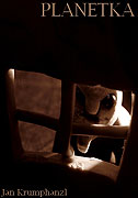 Planetka (2009)