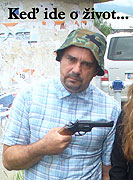 Keď ide o život... (2010)