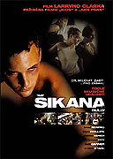 Šikana (2001)