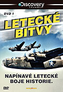 Letecké bitvy (2008)
