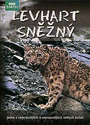 Levhart sněžný (2008)