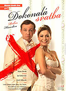 Dokonalá svatba (2010)