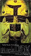 Black Box (A Video Retrospect) Volume 2 (1994)
