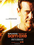 Burn Notice: The Fall of Sam Axe (2011)