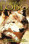 Lobo (1962)
