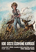Kde roste červené kapradí (1974)