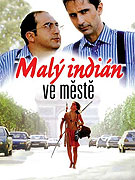 Malý indián ve městě (1994)