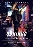 Odnikud (2017)
