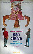 Pan chůva, neboli osobní strážce (1993)