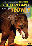 Obklíčeni slony (1969)