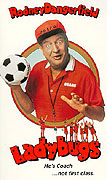 Berušky (1992)